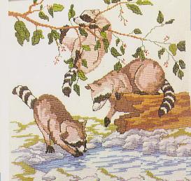 Racoons At Play Pattern